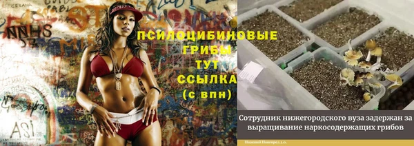 ECSTASY Алексеевка