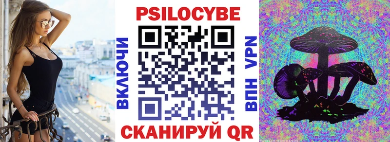 гидра ССЫЛКА Кубинка Псилоцибиновые грибы Psilocybe